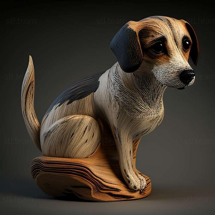 Wood Raccoon Hound dog